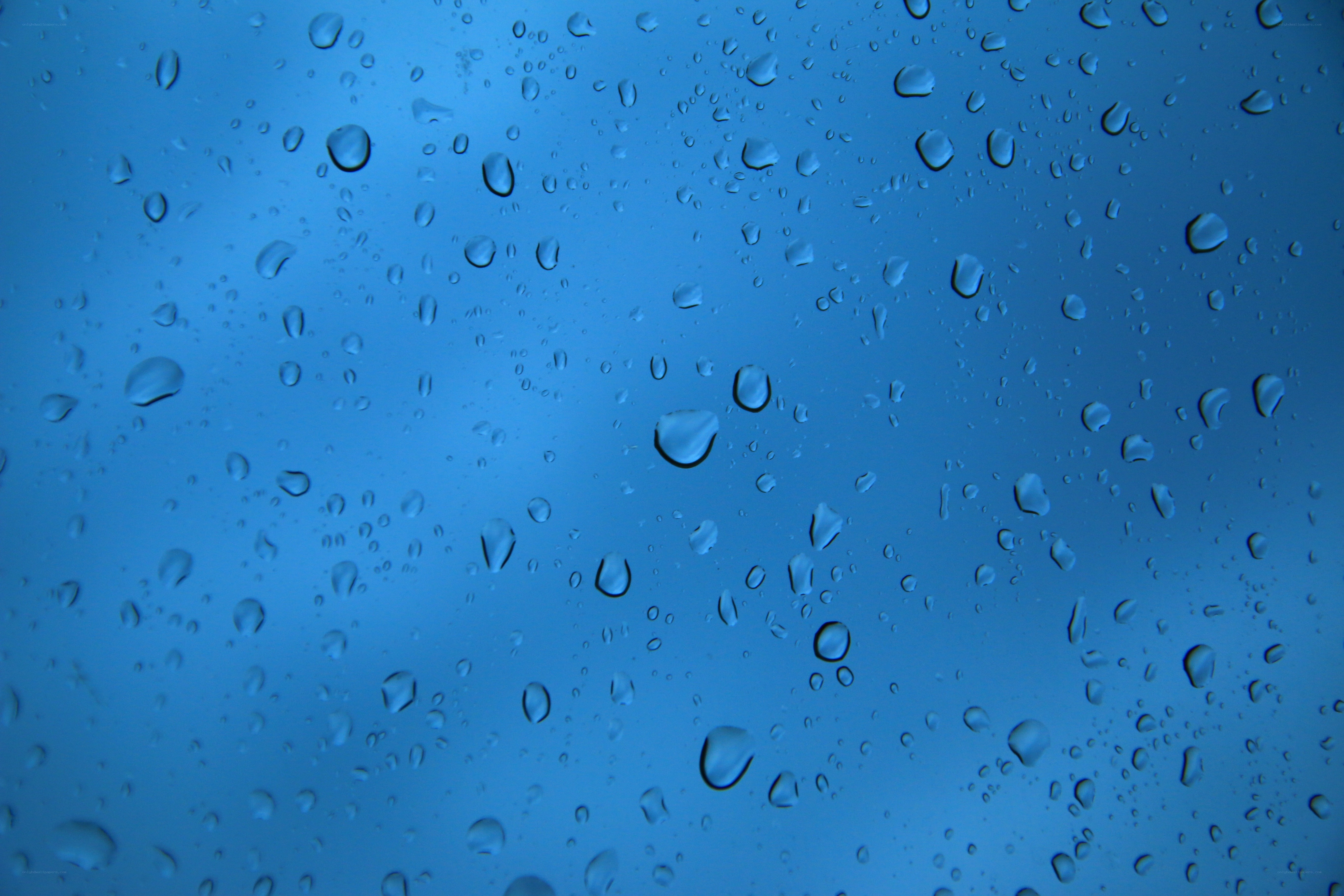 raindrops on a blue surface