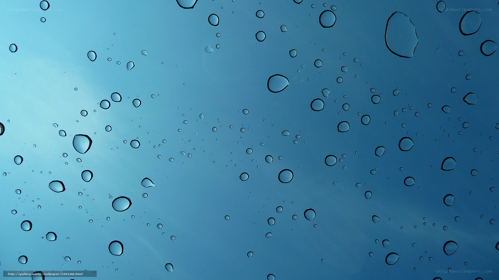 Raindrops on a blue surface