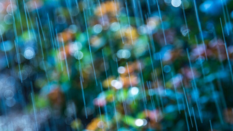 Raindrops on a blurred background