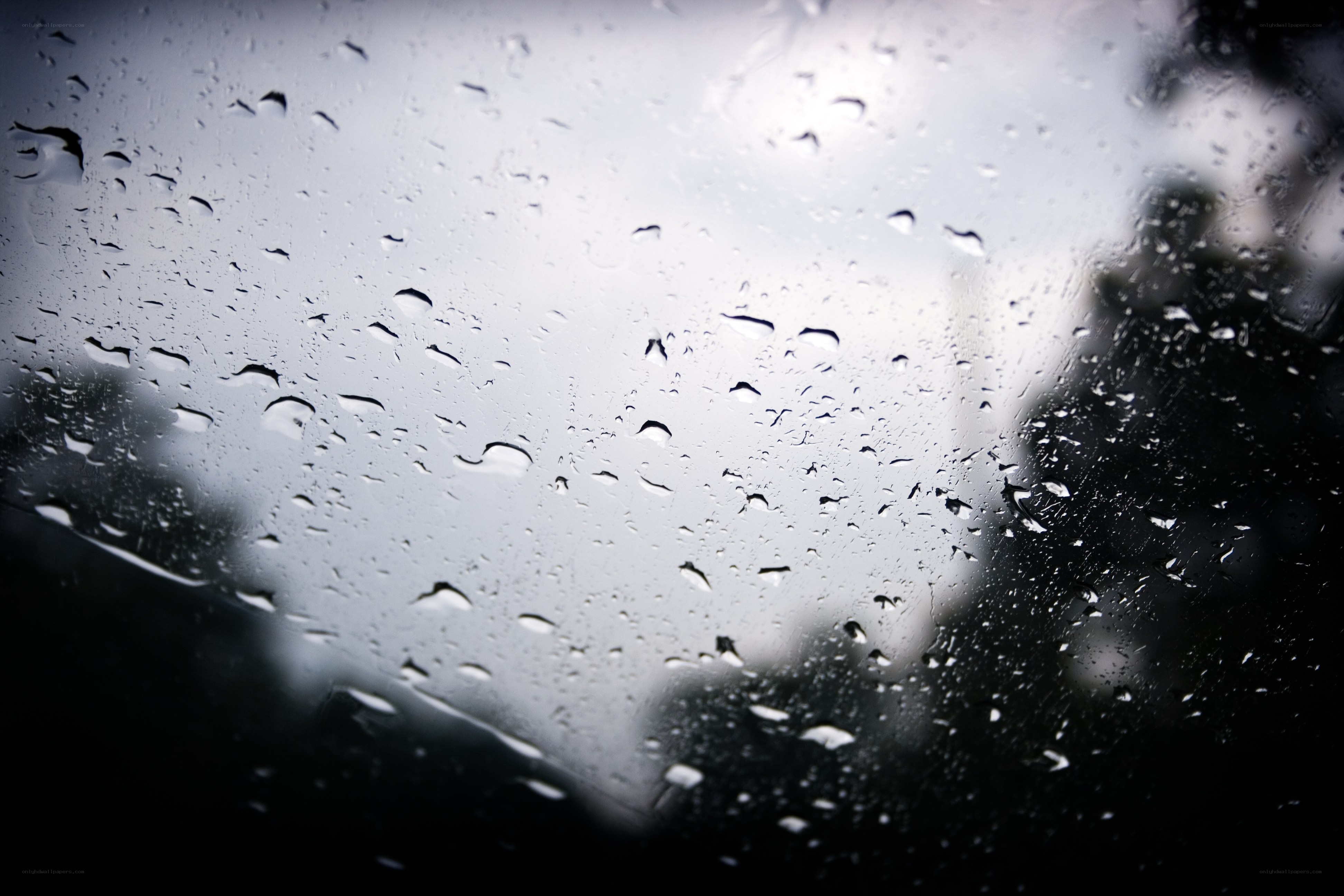 Raindrops on a car window