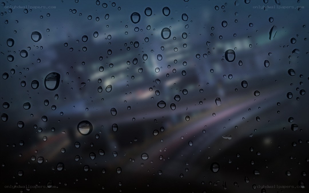 raindrops on a car window