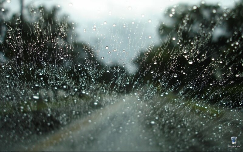 raindrops on a car window