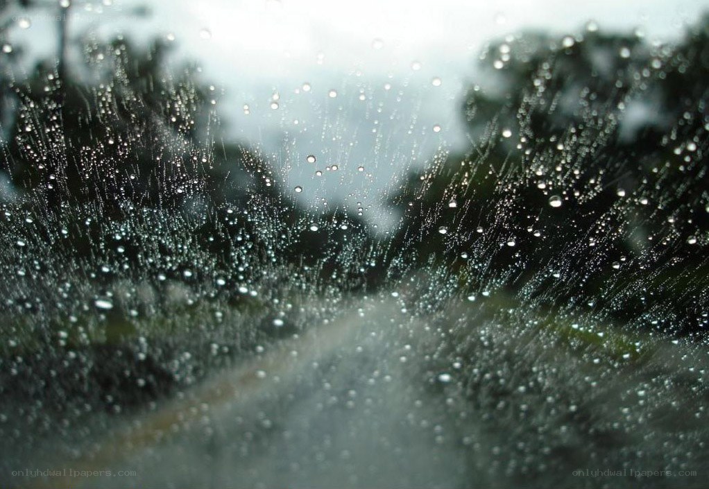 raindrops on a car window
