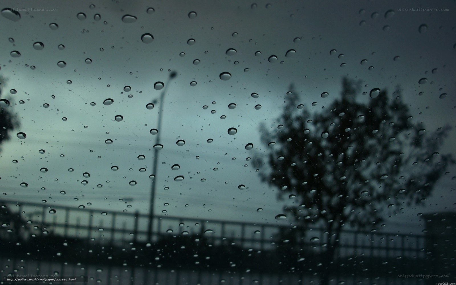 raindrops on a car window