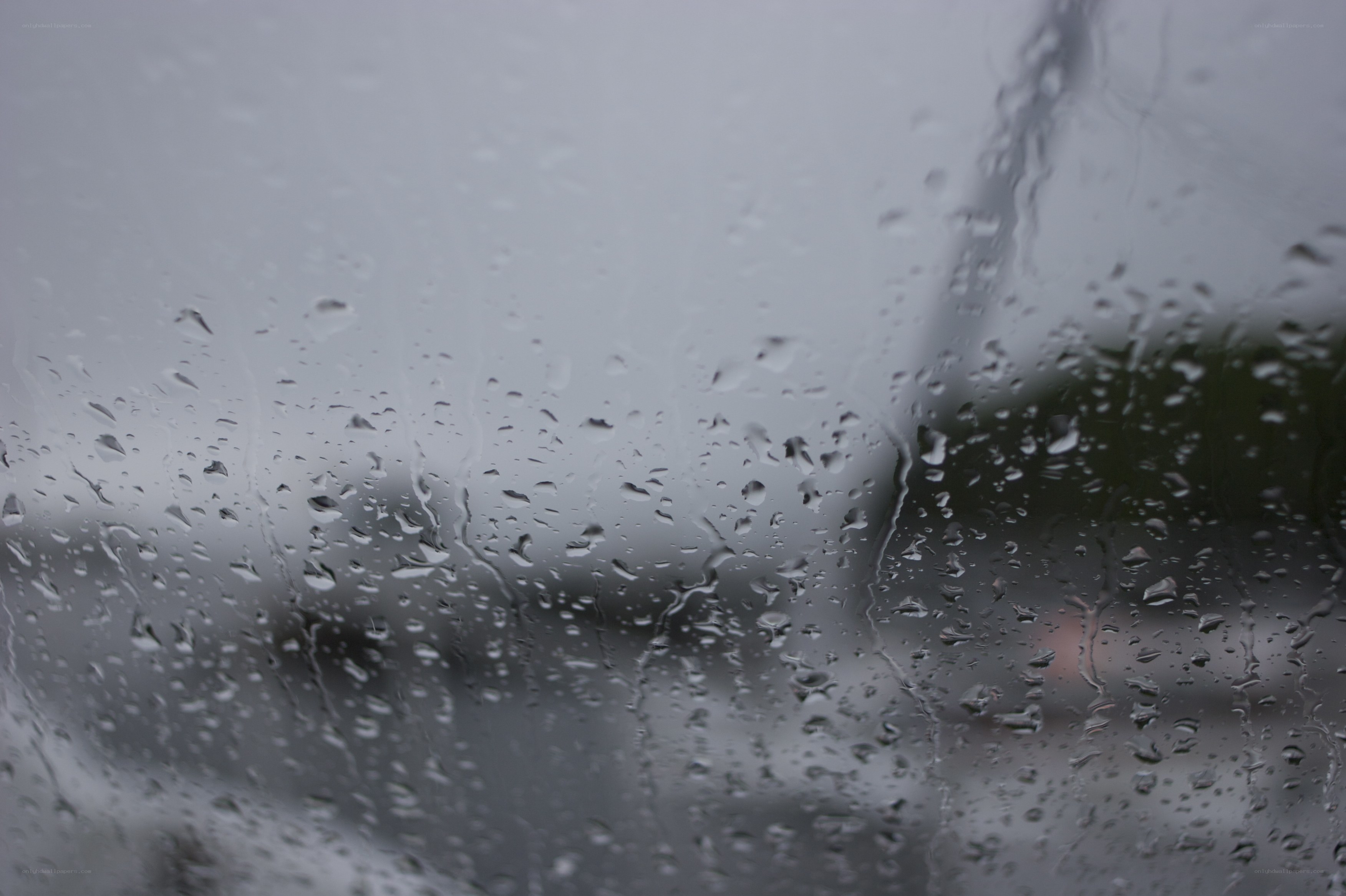 raindrops on a car window