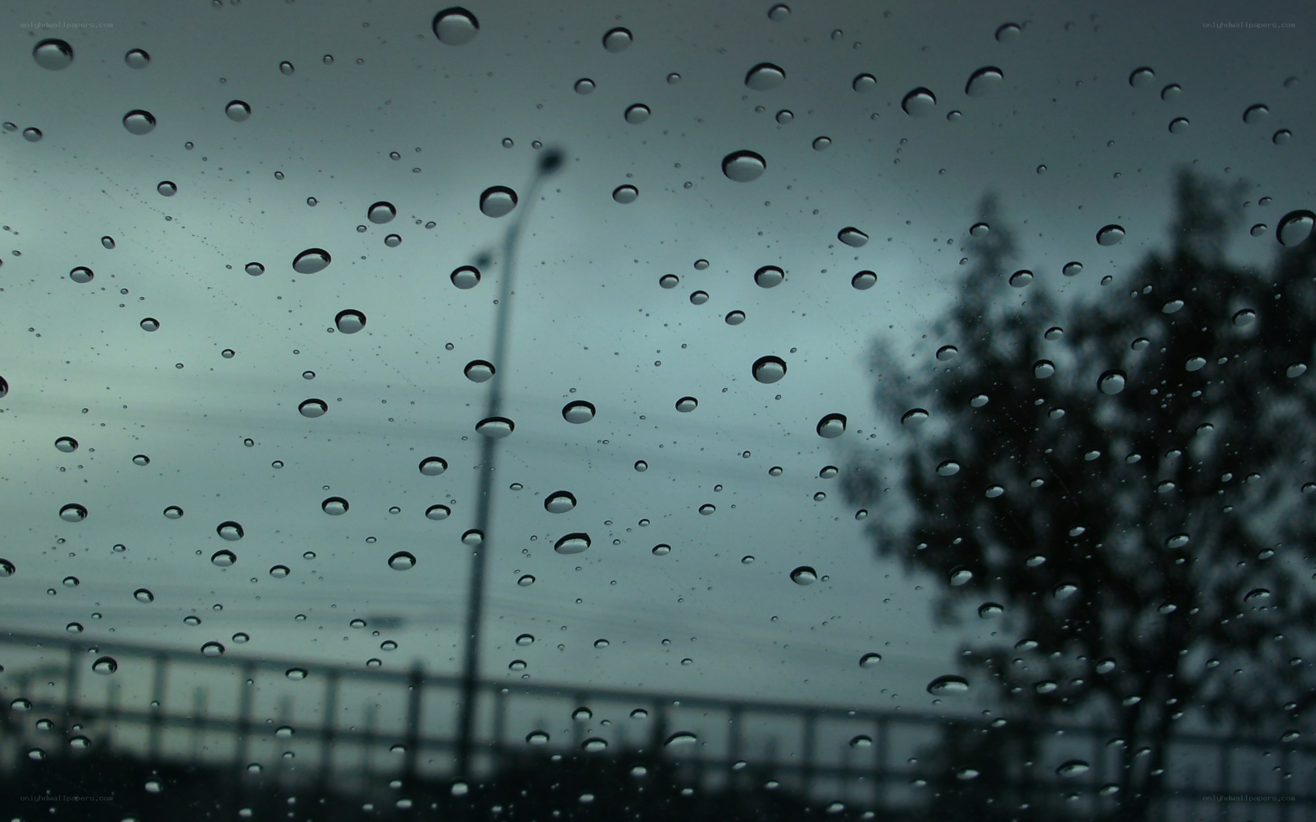 raindrops on a car window