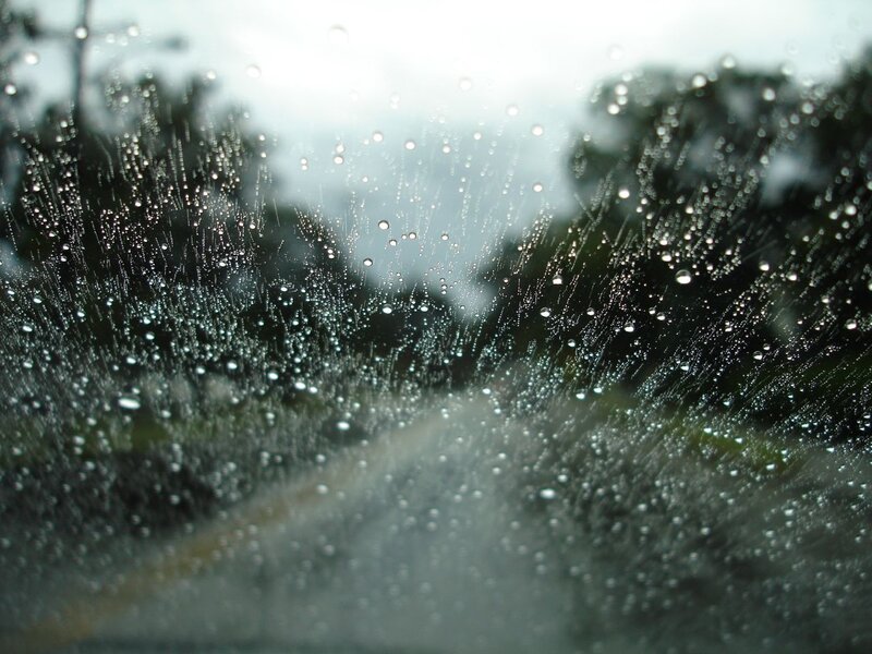 raindrops on a car window