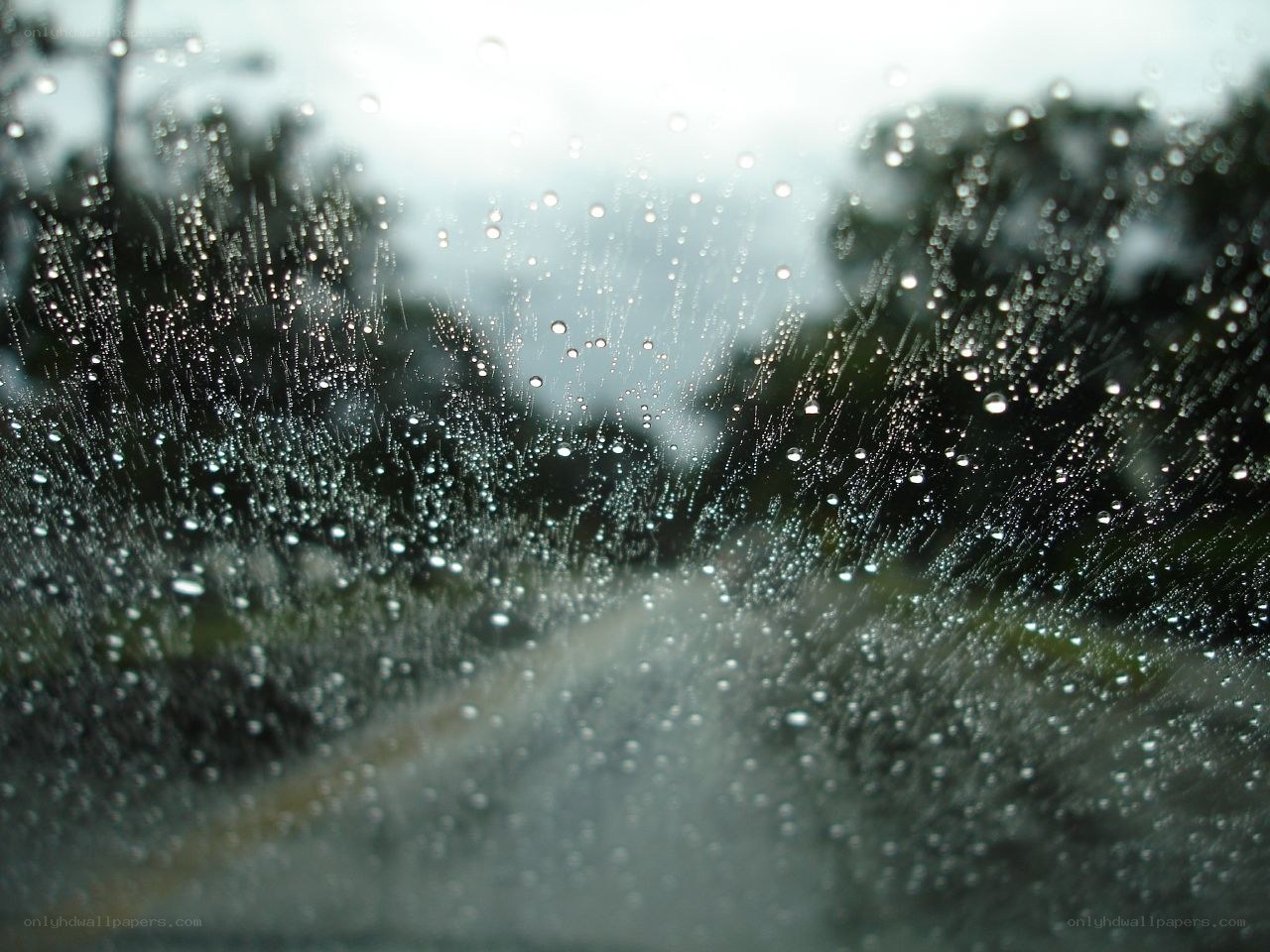 raindrops on a car window