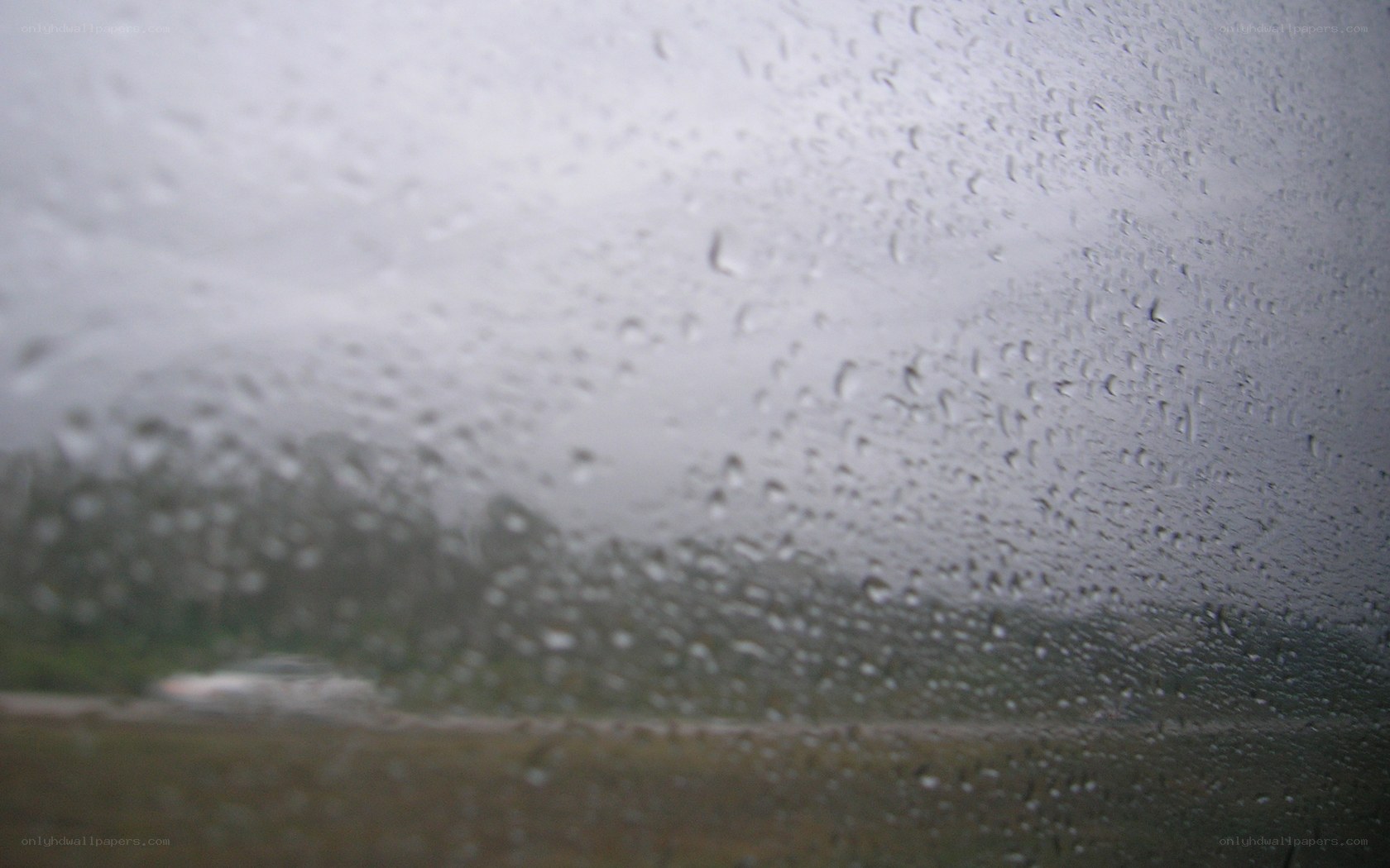 raindrops on a car window