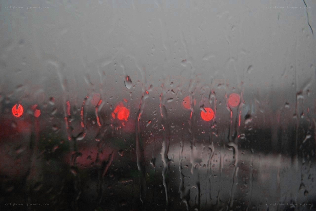 raindrops on a car window