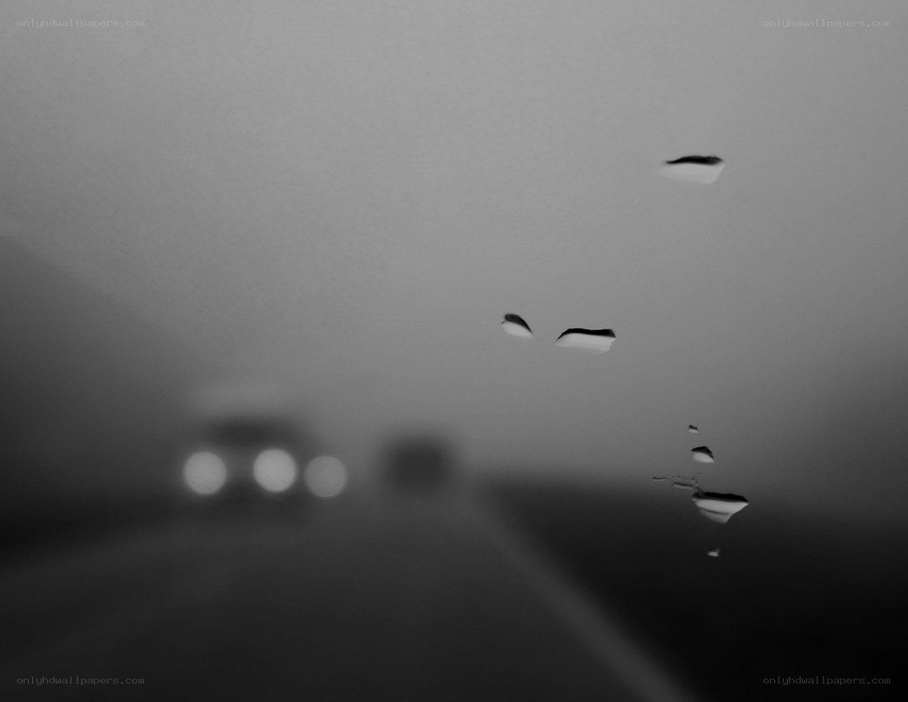 Raindrops on a car window