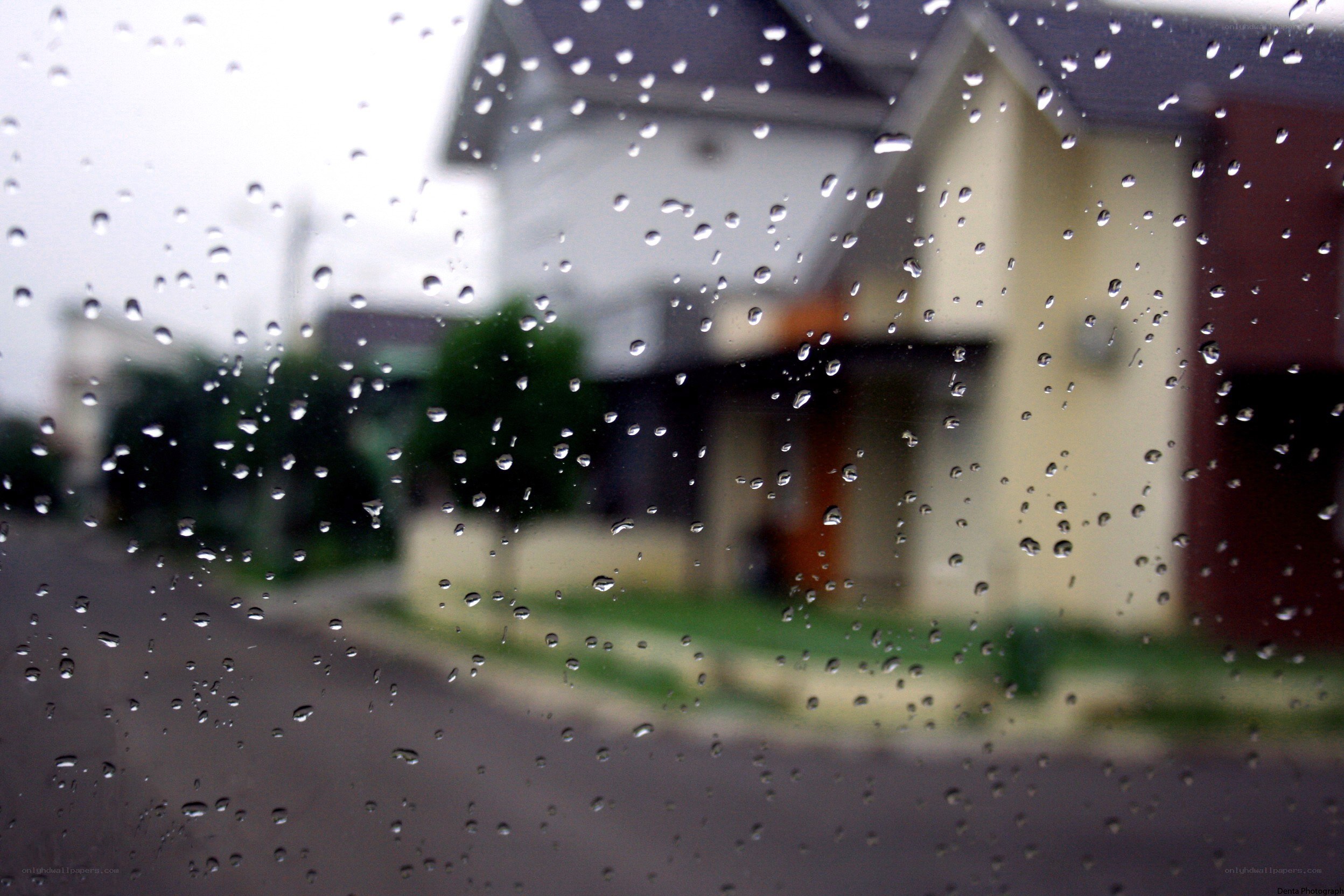raindrops on a car window