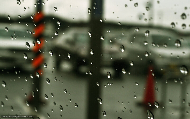 raindrops on a car window