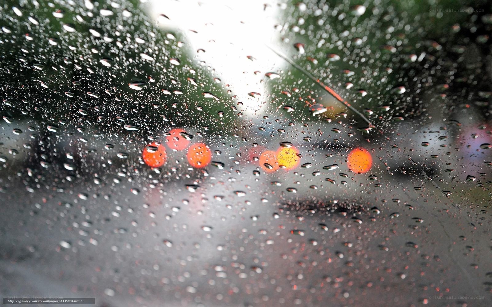 raindrops on a car window