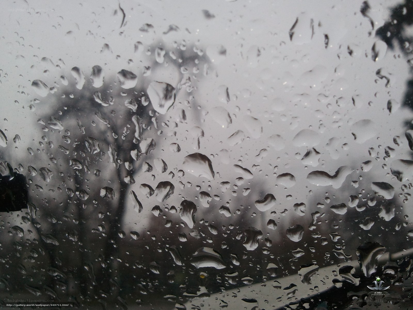 Raindrops on a car window