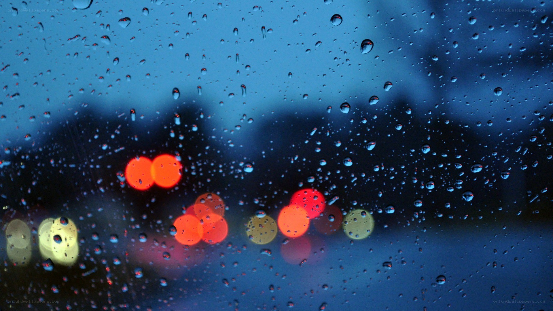 raindrops on a car window at night