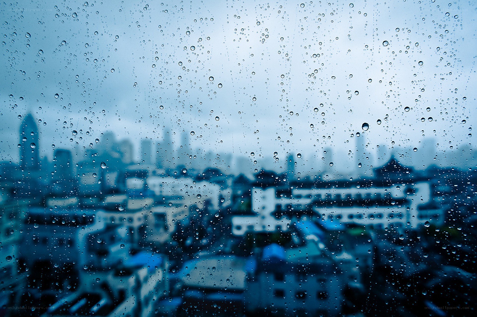 Raindrops on a city window
