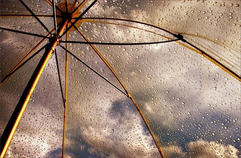 raindrops on a clear umbrella