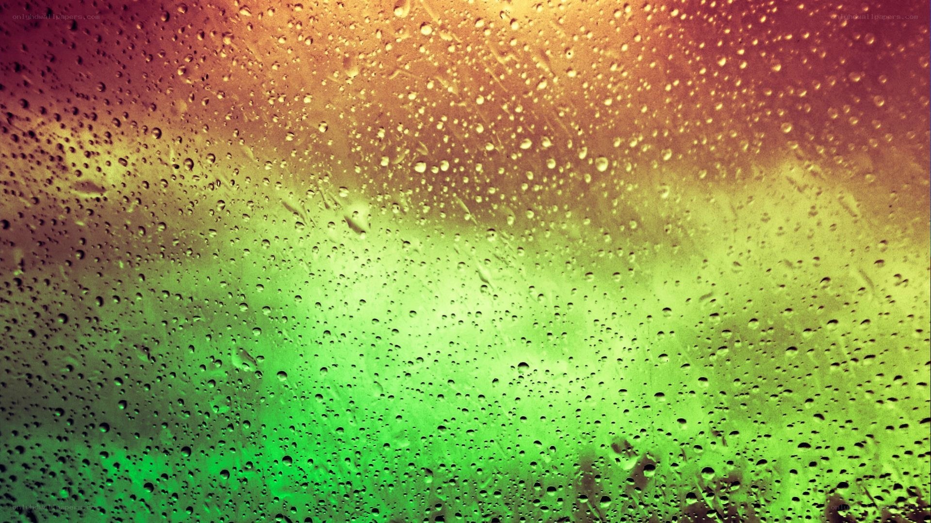 raindrops on a colorful window