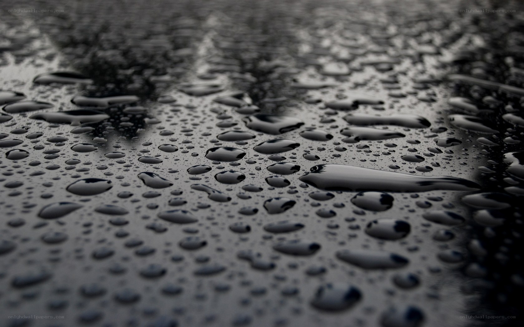 raindrops on a dark surface