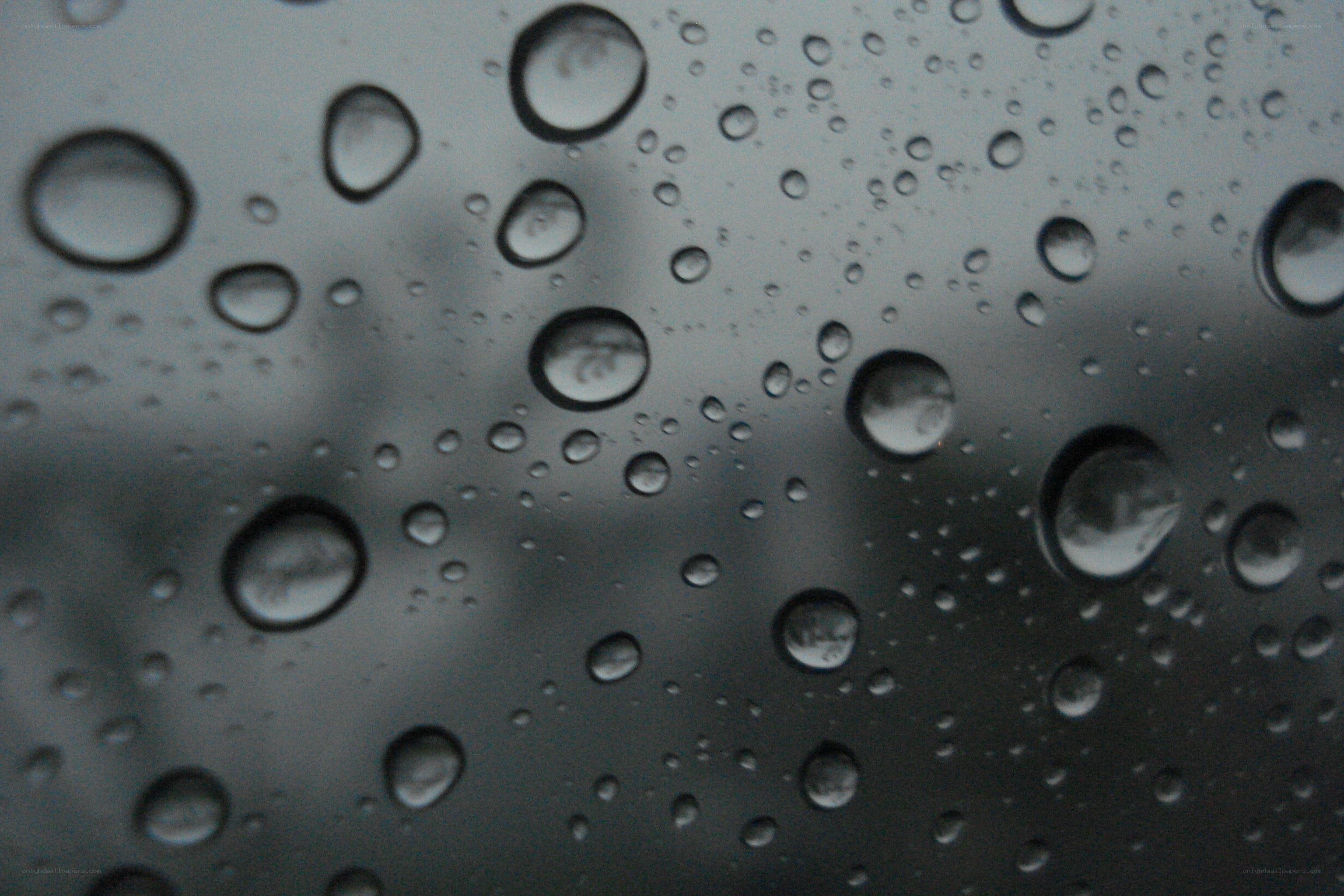 raindrops on a dark surface