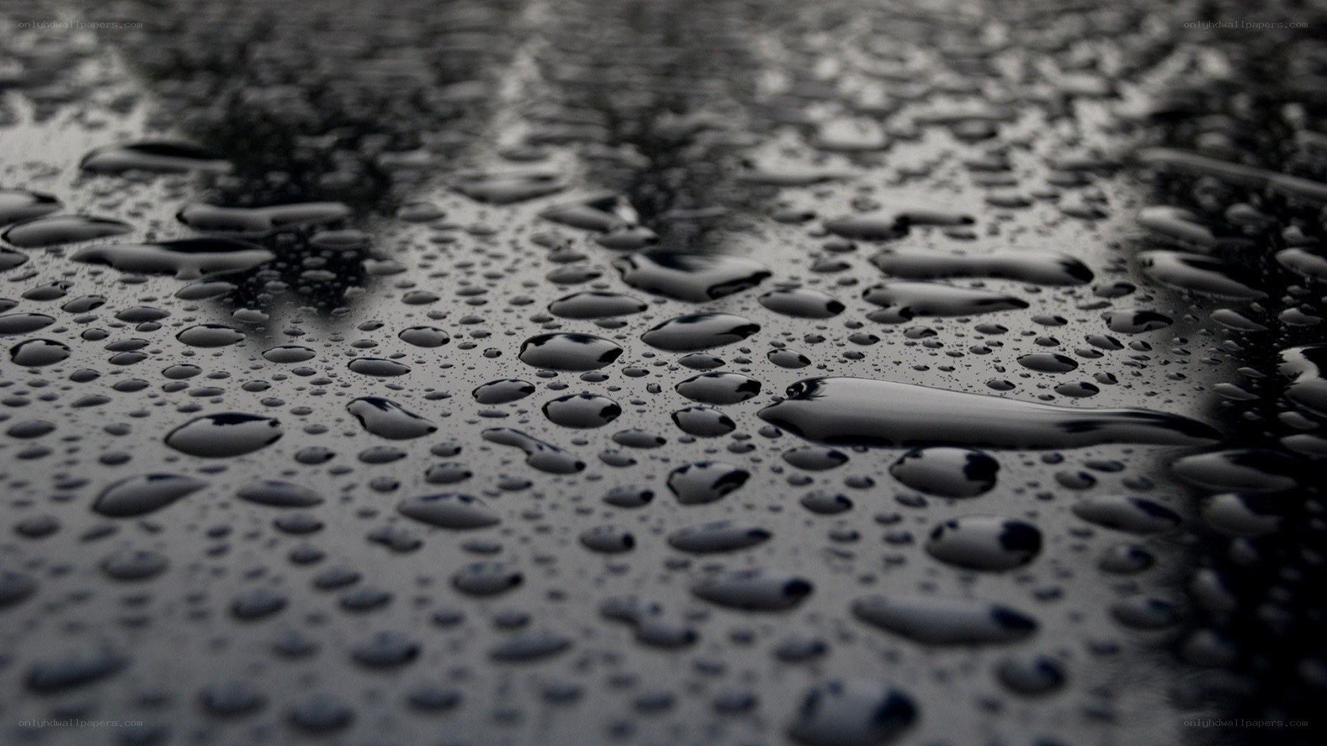 Raindrops on a dark surface