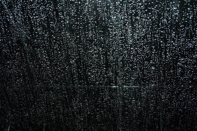 Raindrops on a dark surface