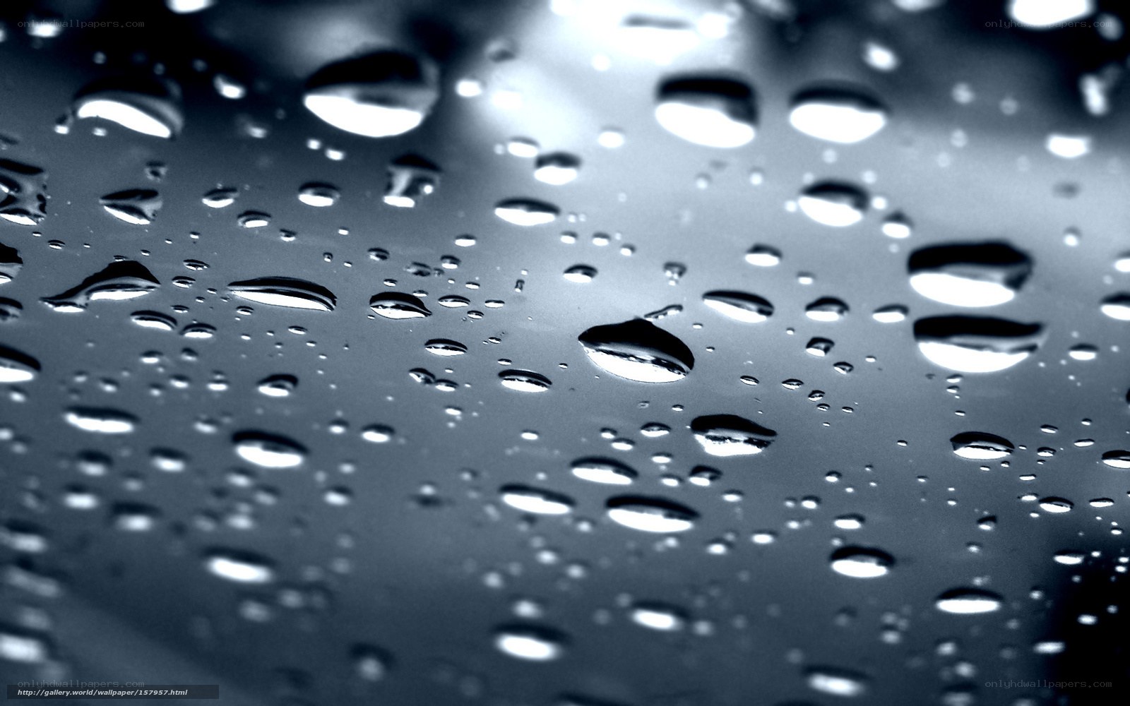 raindrops on a dark surface