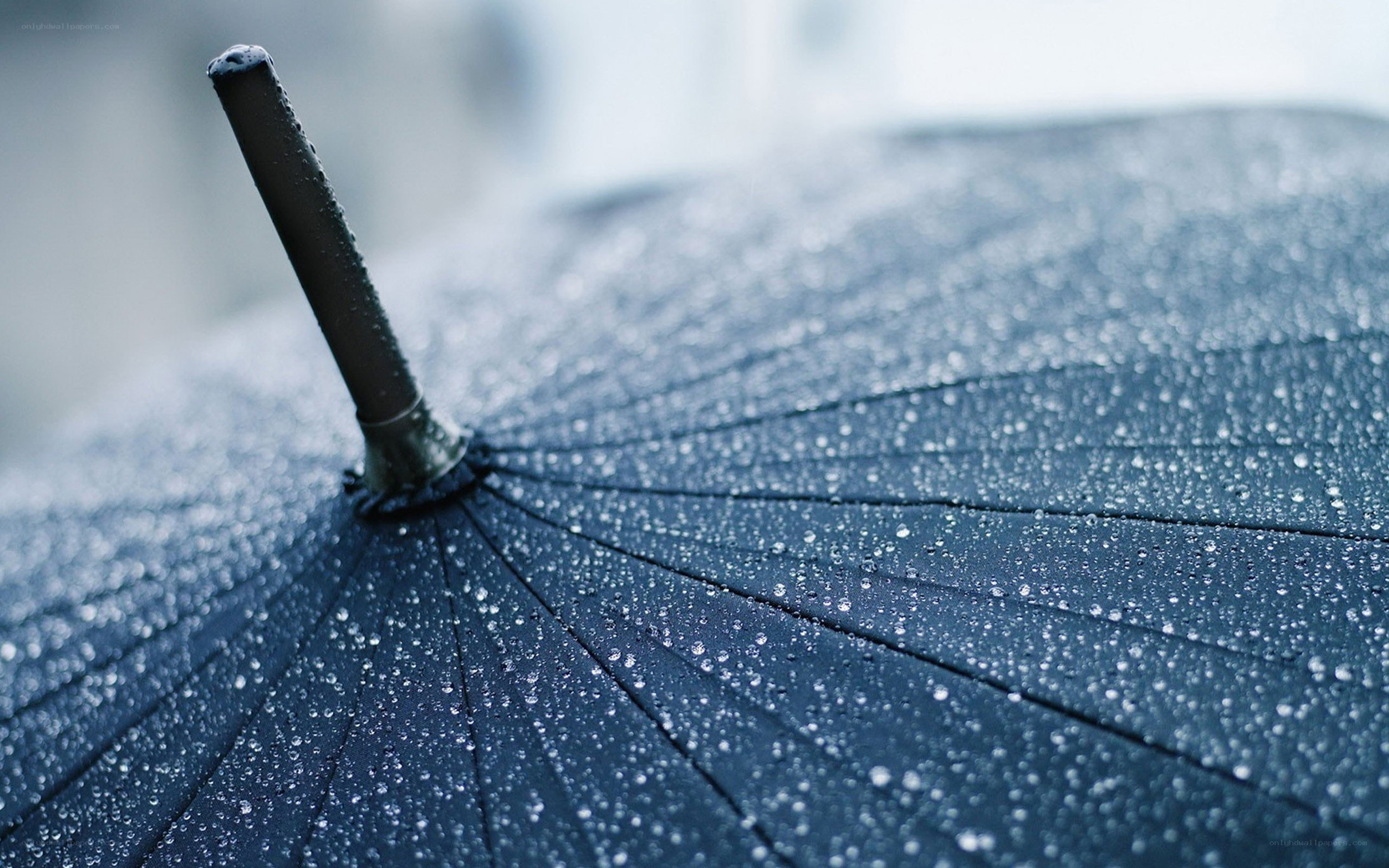raindrops on a dark umbrella