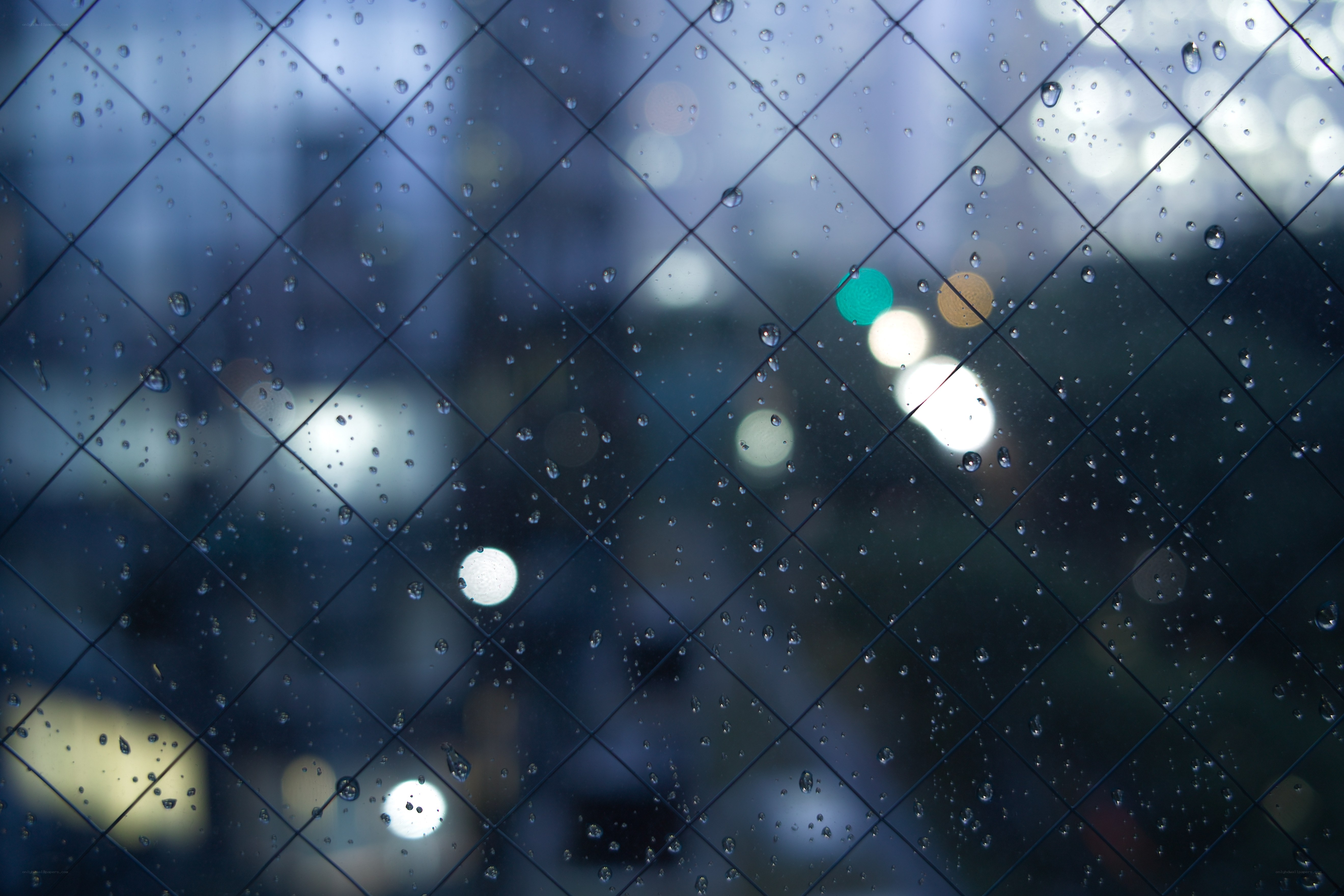 raindrops on a diamond-patterned window