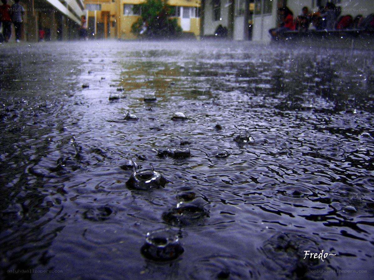 raindrops on a flooded street