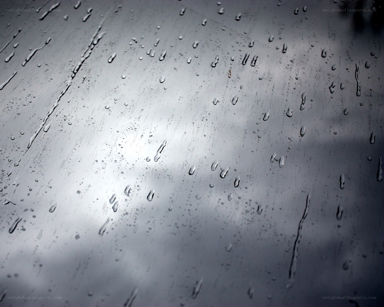 Raindrops on a glass surface