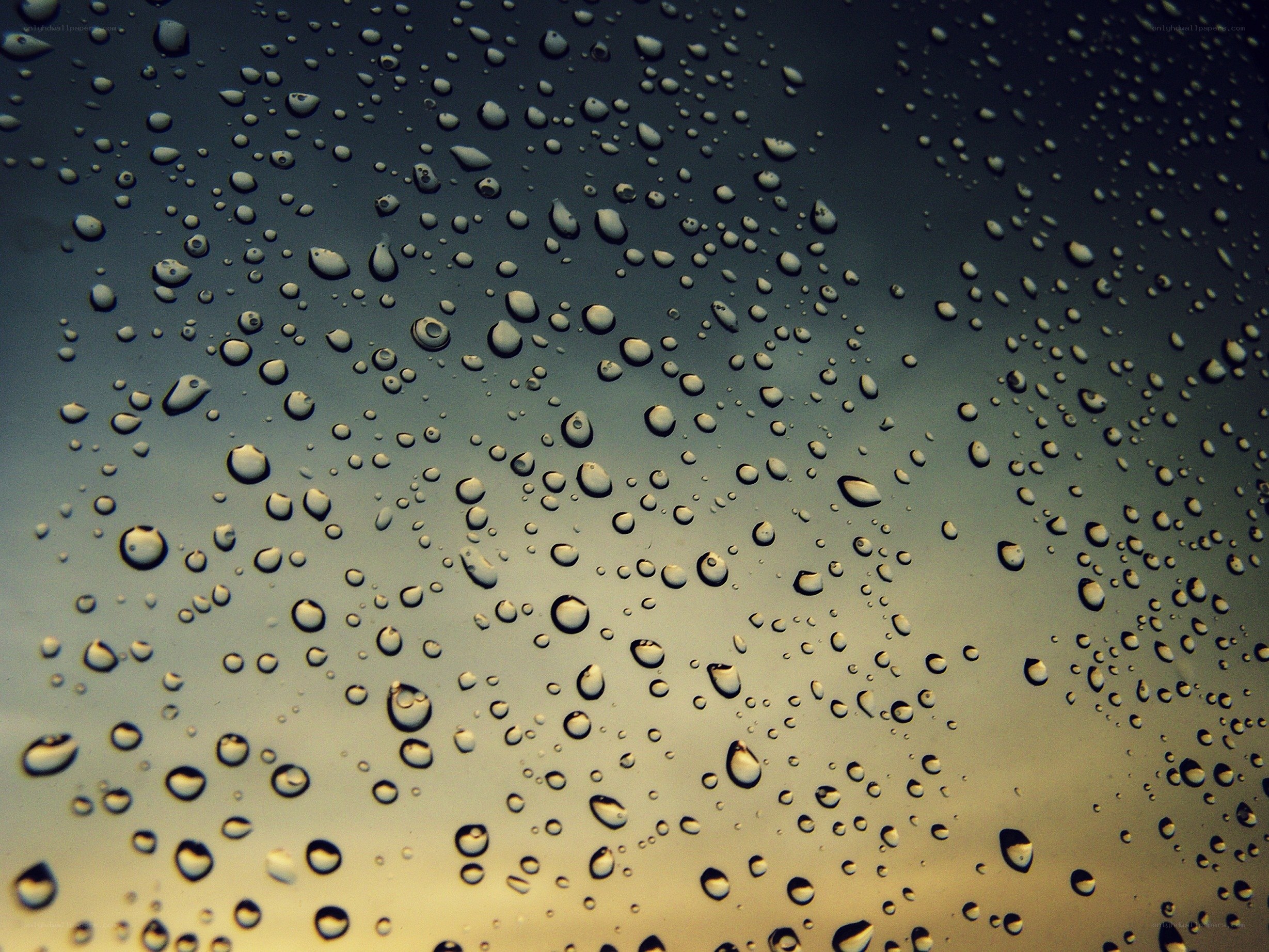 Raindrops on a glass surface