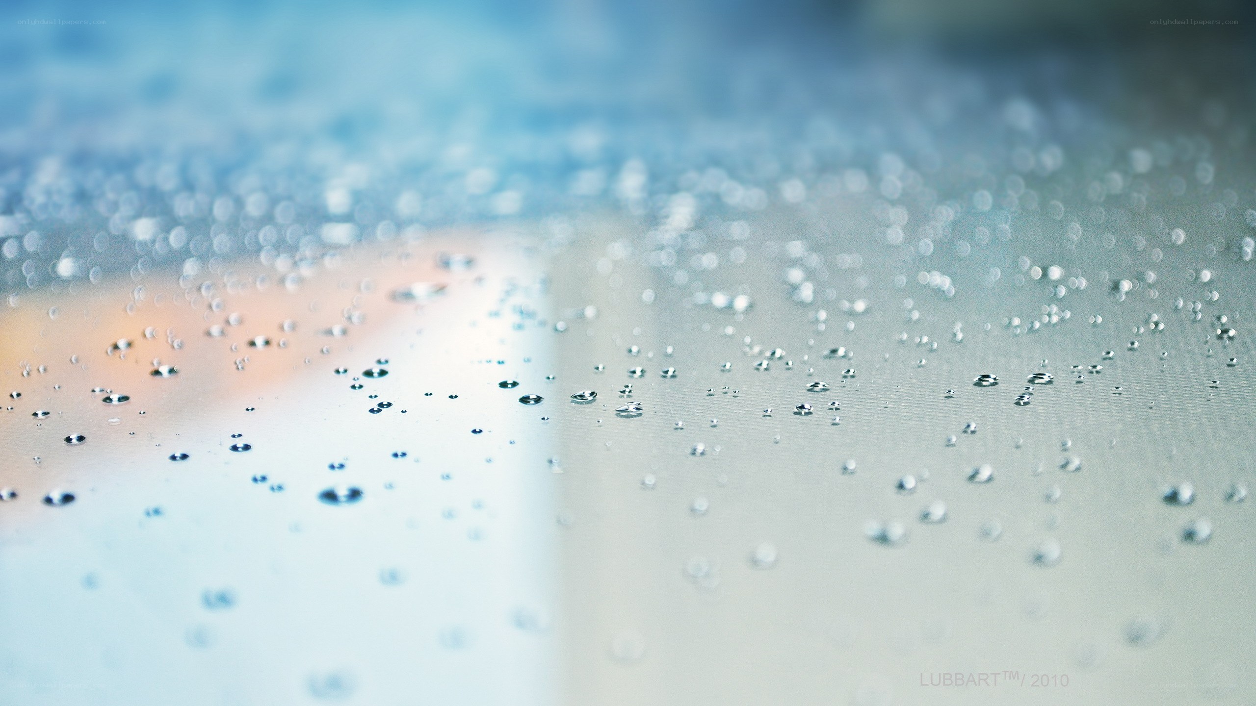 Raindrops on a glass surface