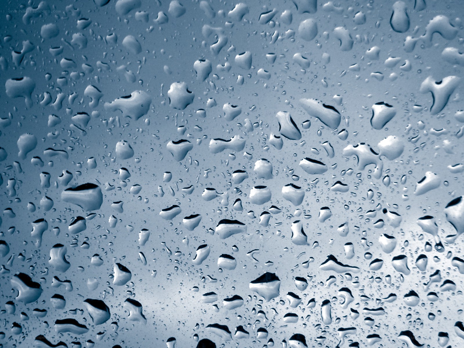 Raindrops on a glass surface