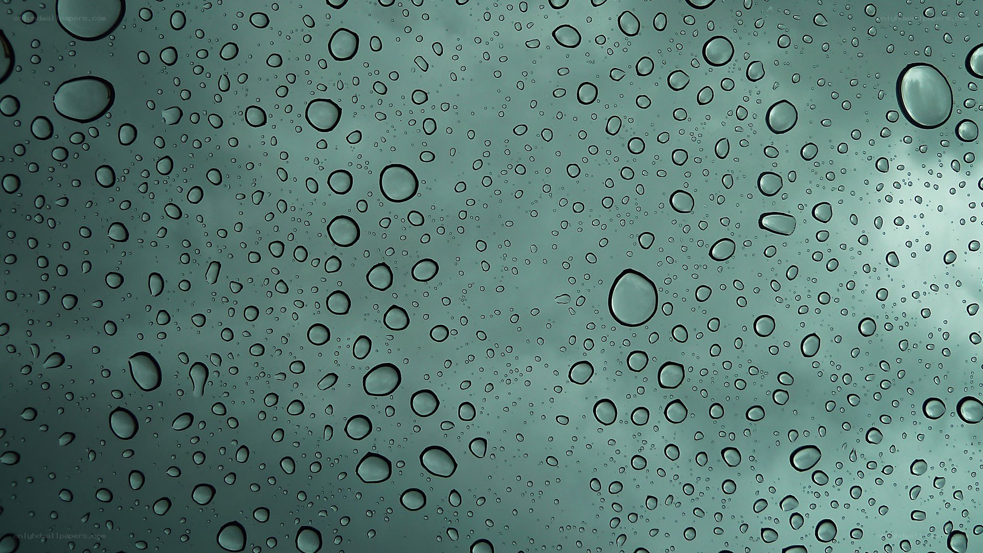 raindrops on a glass surface