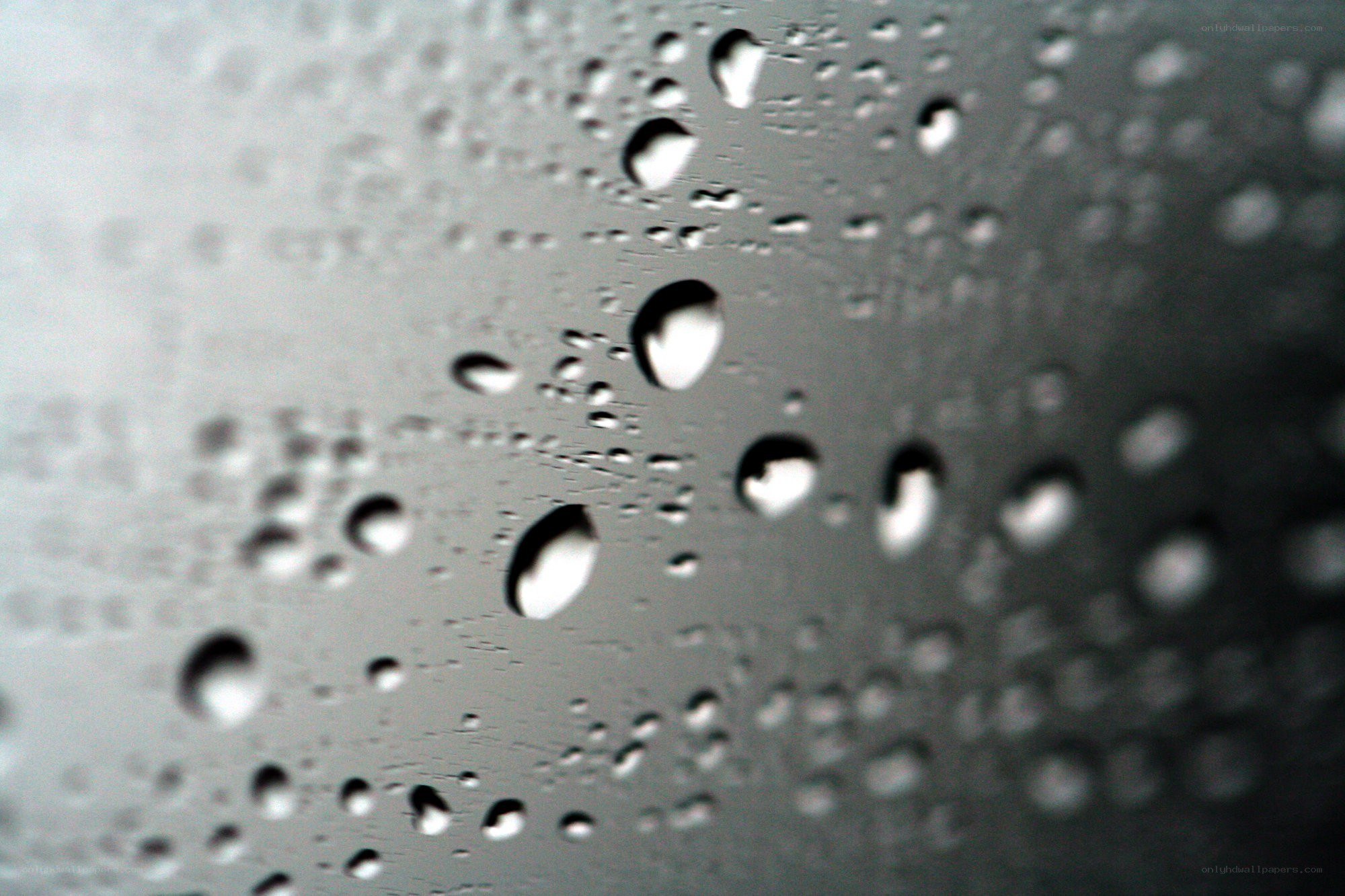 Raindrops on a glass surface