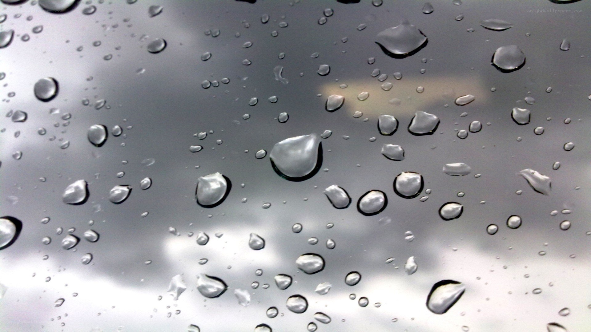 raindrops on a glass surface