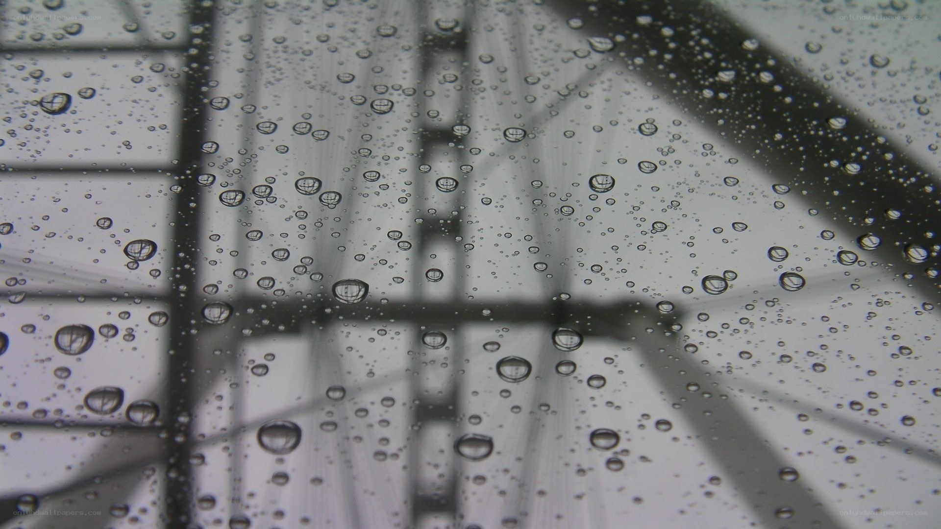 Raindrops on a glass surface