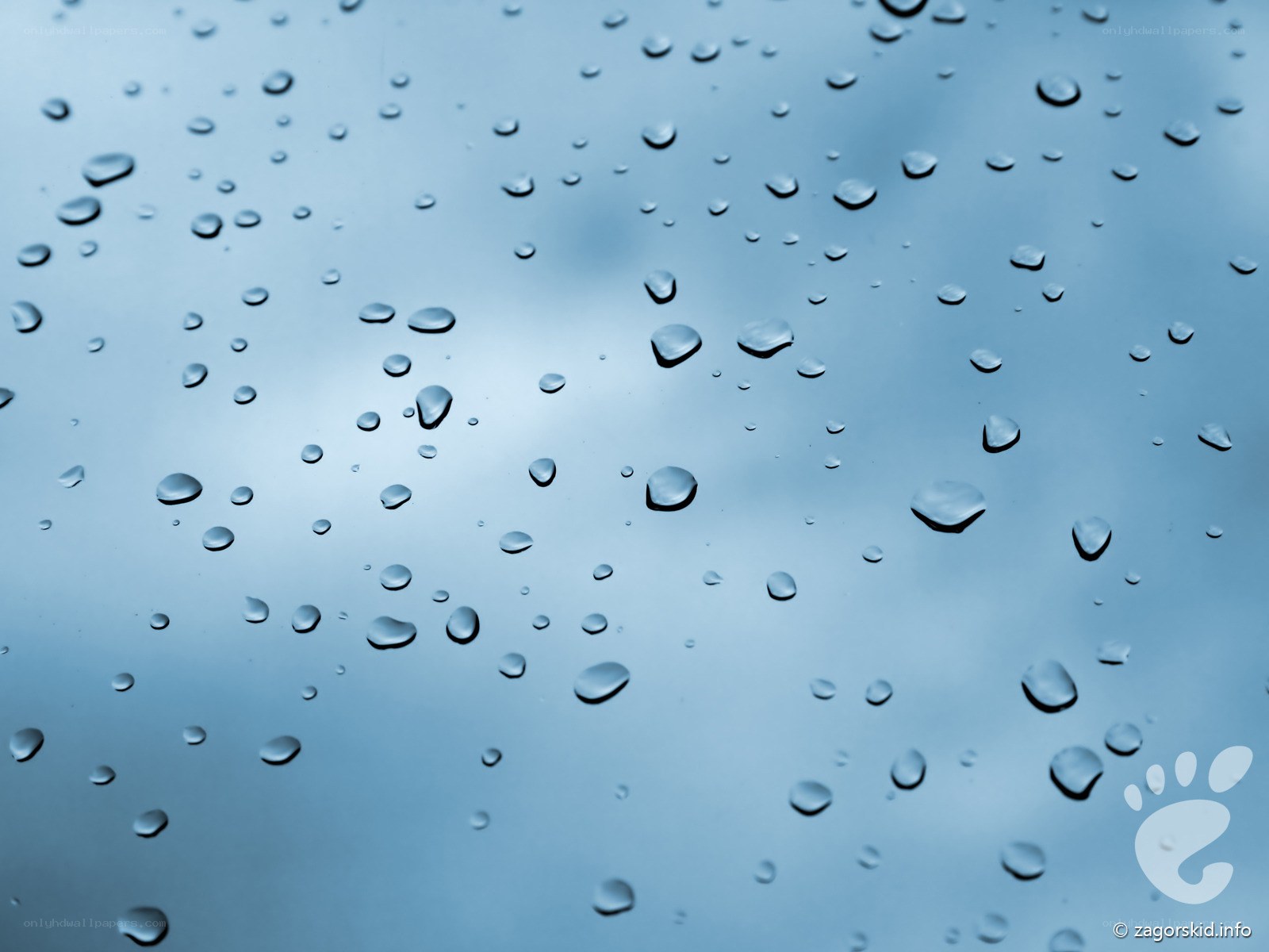 Raindrops on a glass surface