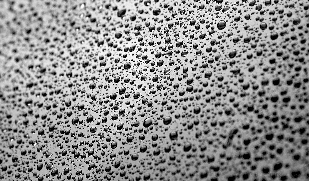 raindrops on a glass surface
