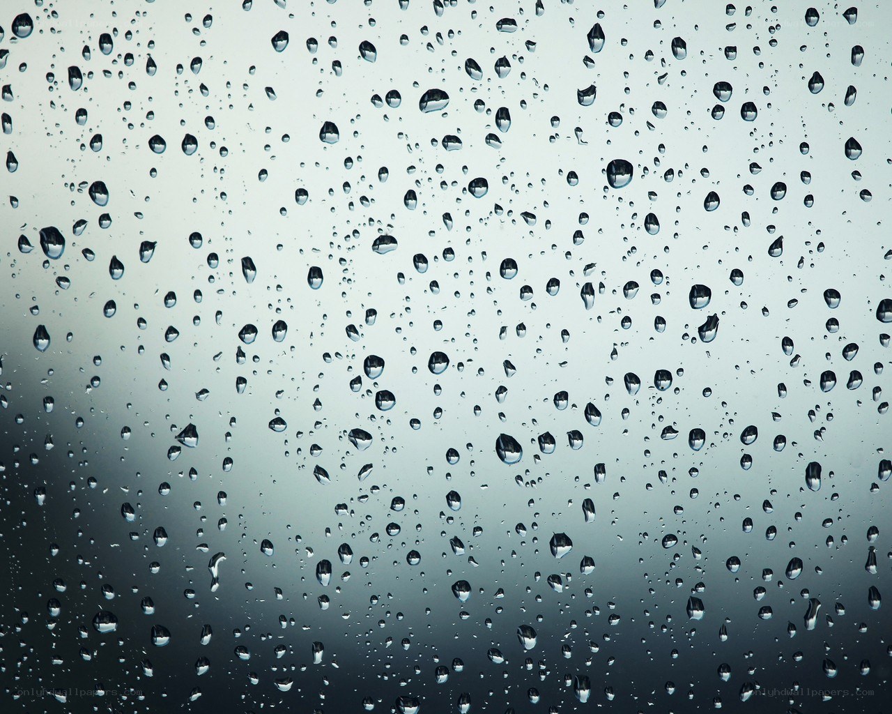 Raindrops on a glass surface