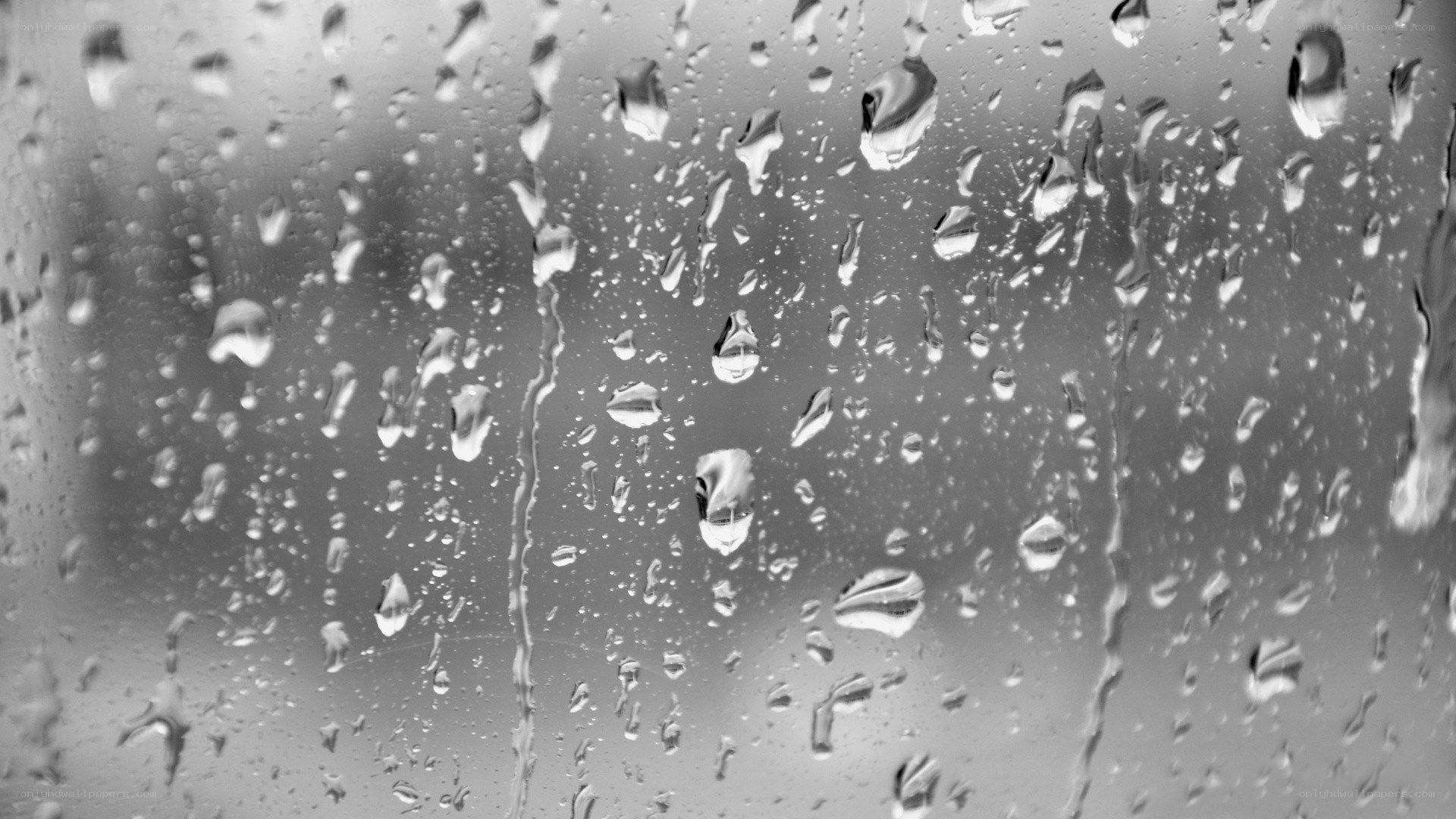raindrops on a glass surface