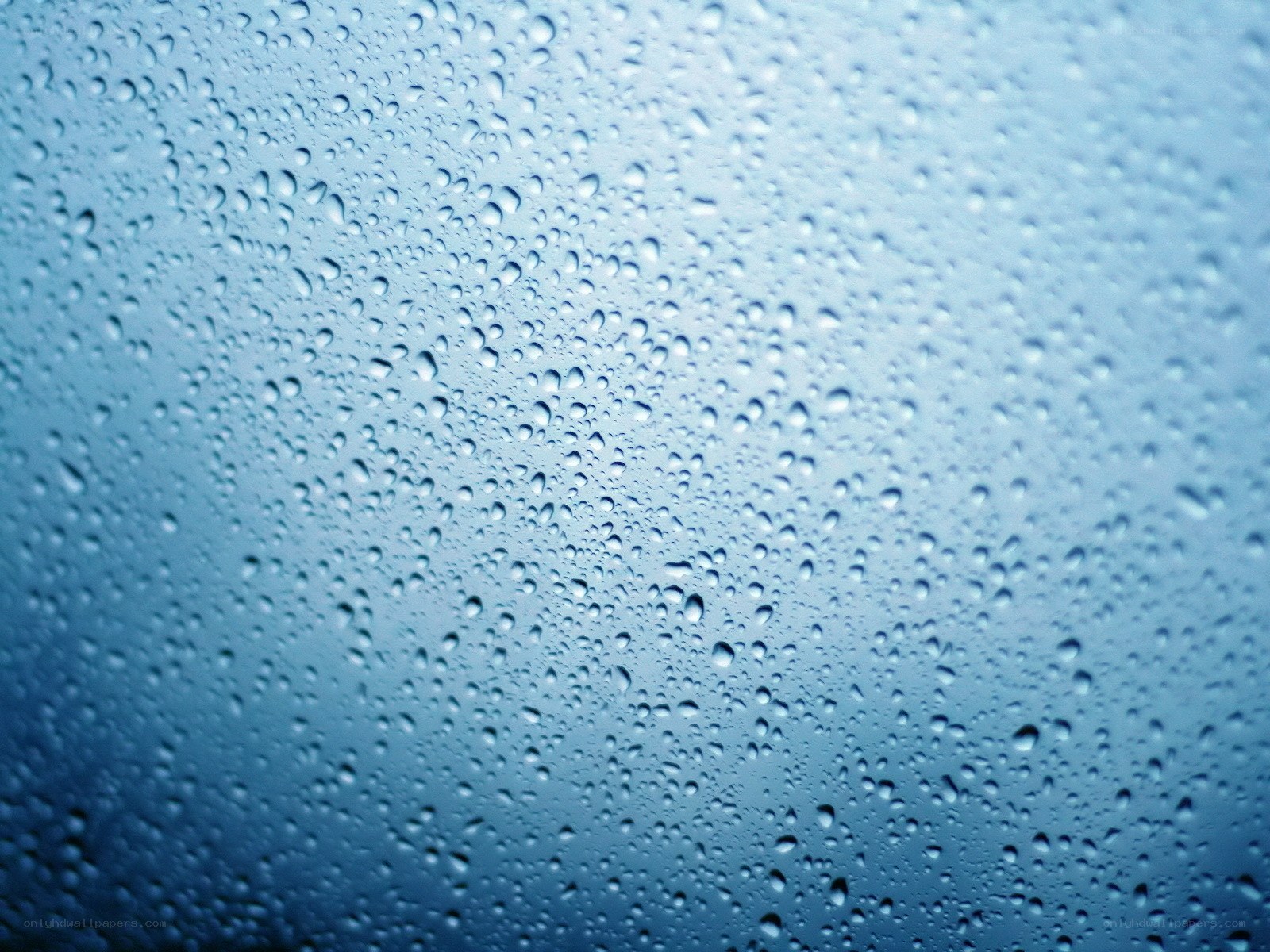 Raindrops on a glass surface