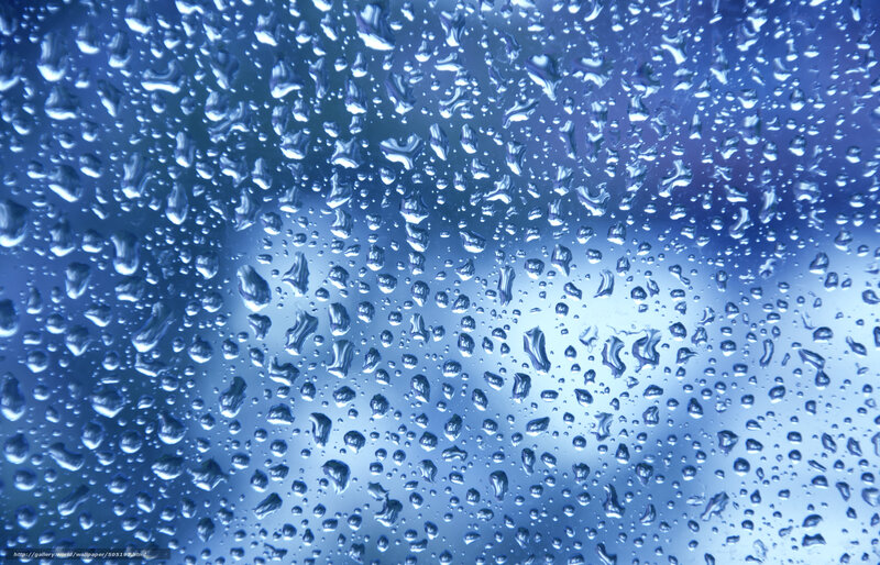 Raindrops on a glass surface