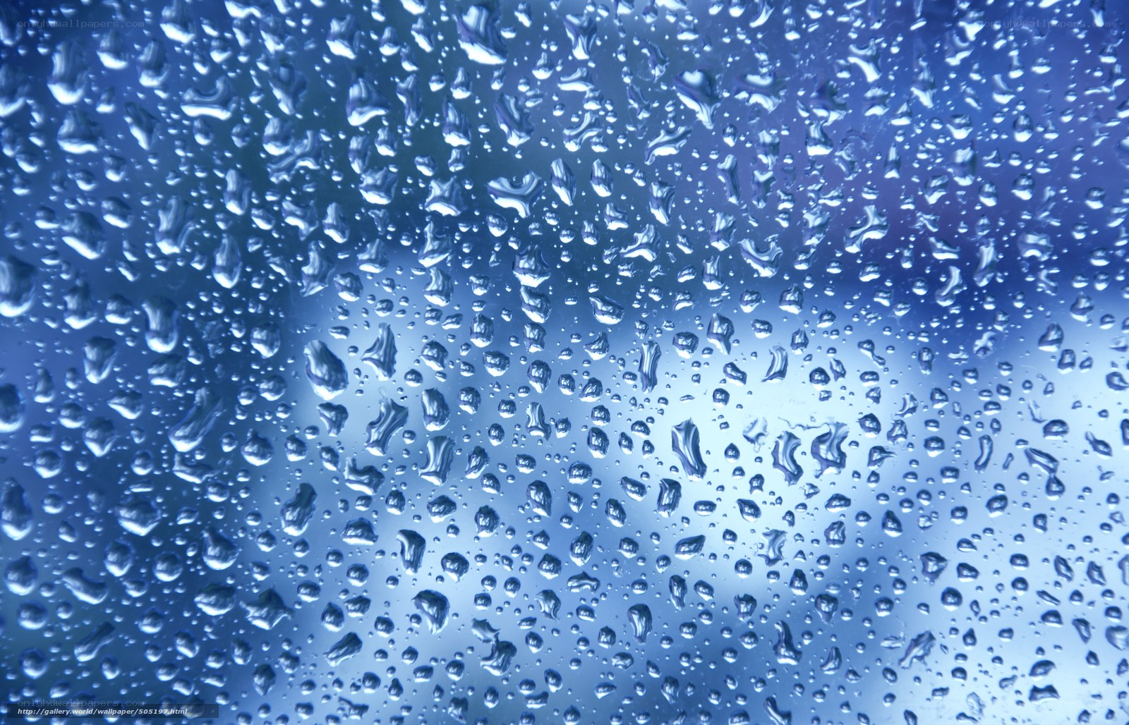 Raindrops on a glass surface