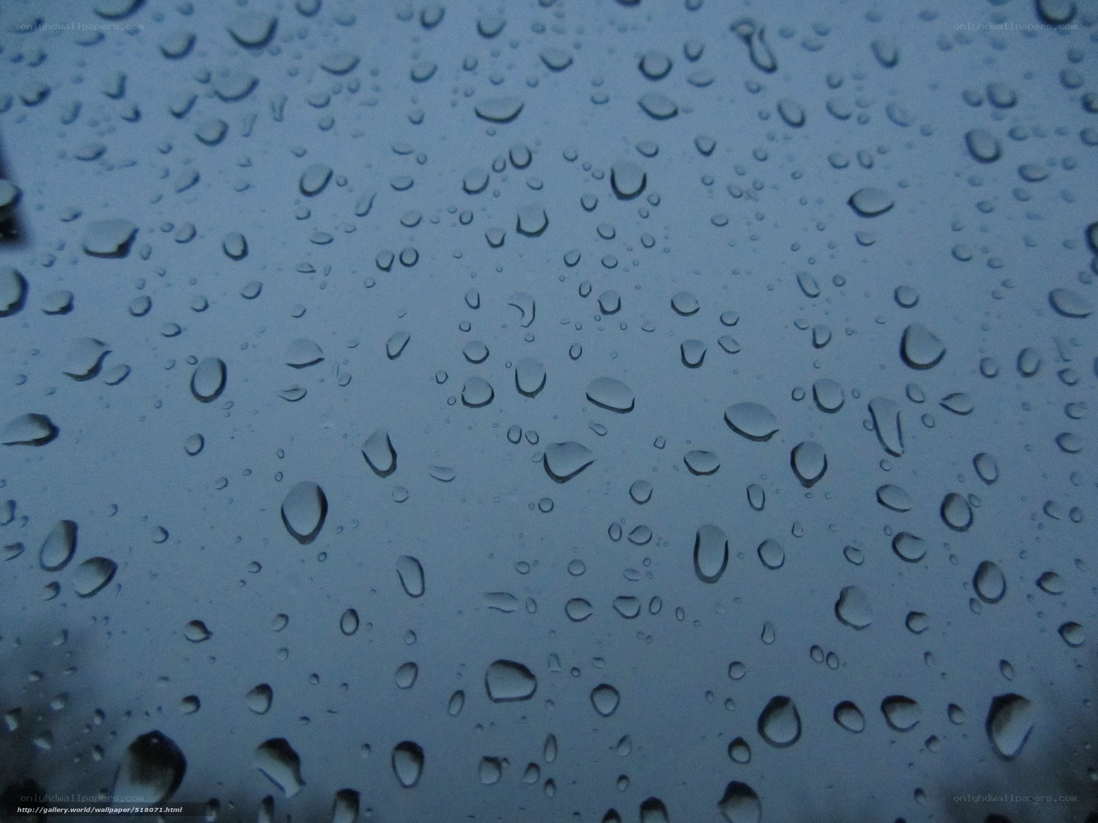 Raindrops on a glass surface