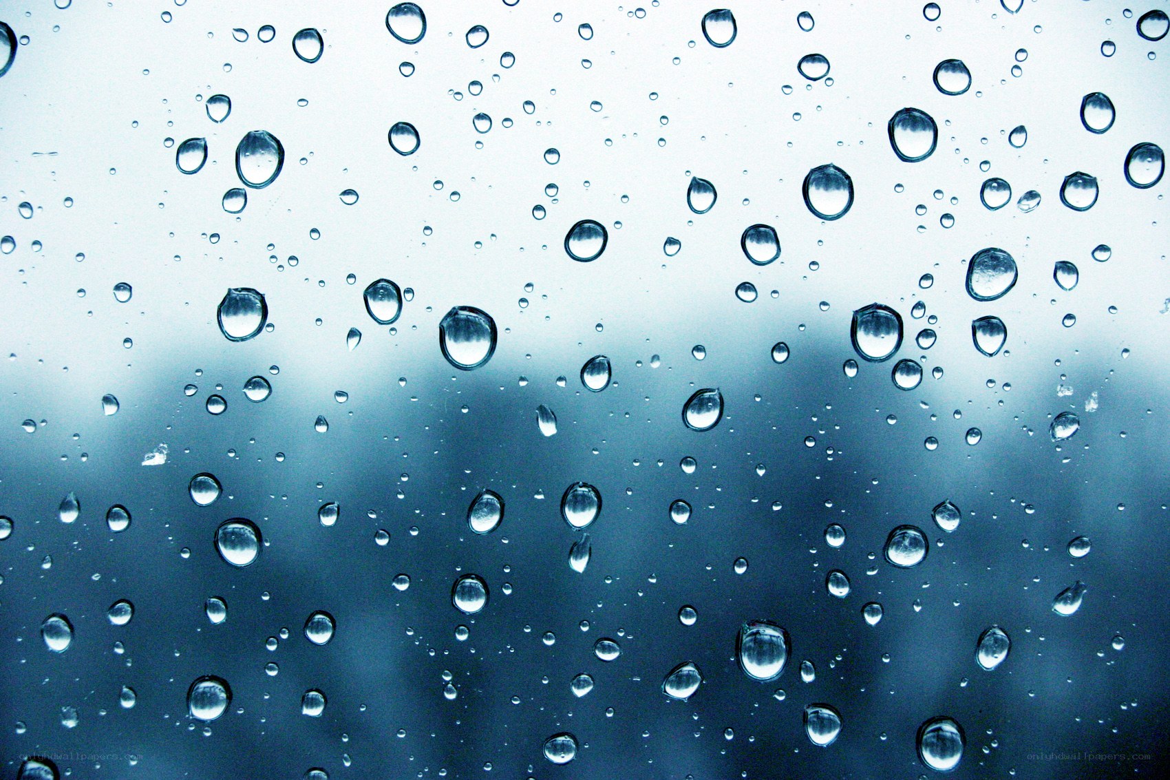 Raindrops on a glass surface