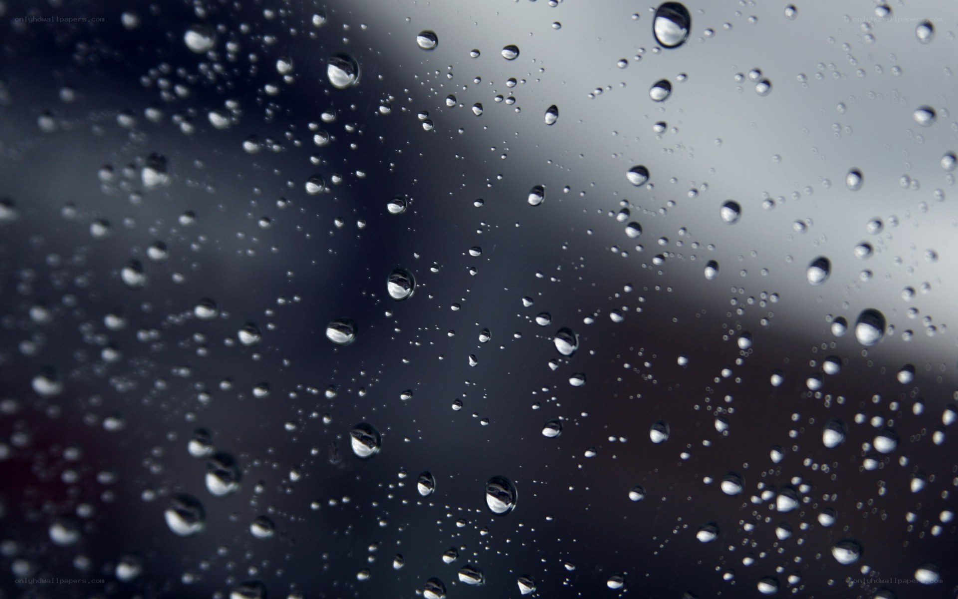 Raindrops on a glass surface