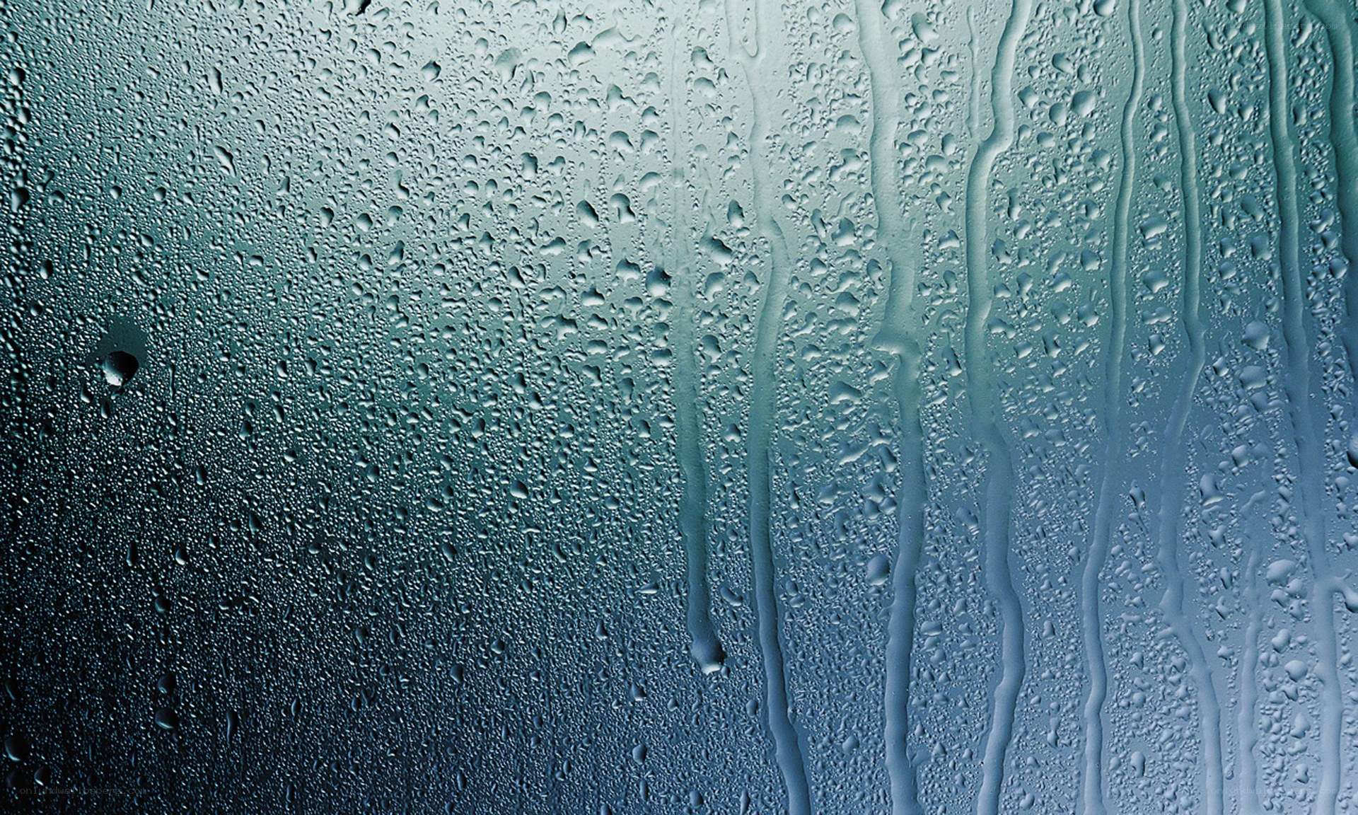 Raindrops on a glass surface